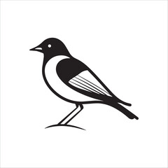 Minimal birds black icon, illustration, vector on white background