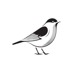 Minimal birds black icon, illustration, vector on white background