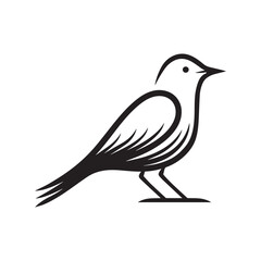 Minimal birds black icon, illustration, vector on white background