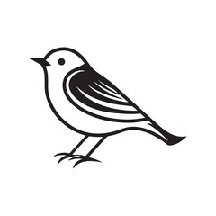Minimal birds black icon, illustration, vector on white background