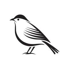 Minimal birds black icon, illustration, vector on white background