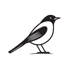 Minimal birds black icon, illustration, vector on white background