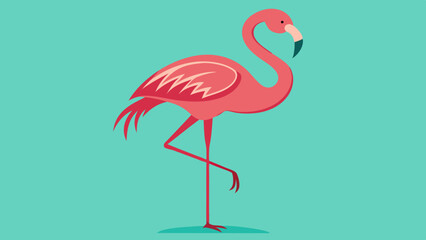 illustration of a flamingo