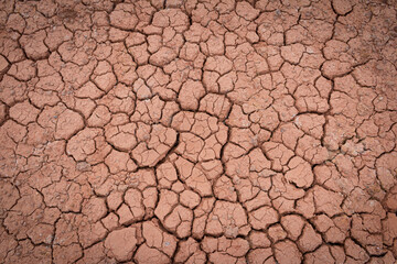 The red soil is cracked and cracked from drought and pollution.