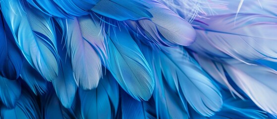 Abstract Background of Feathers in Gradient Blue Color