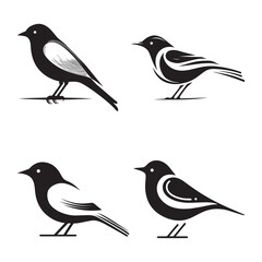 Minimal birds black icon, illustration, vector on white background