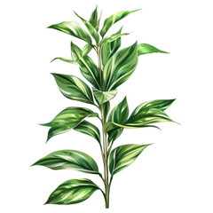 Fototapeta premium Illustration of a green tropical plant with variegated leaves, perfect for botanical, nature, and garden-themed projects.