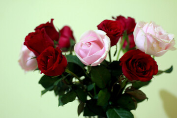 Bouquet of red and pink roses. Fresh natural flowers background.