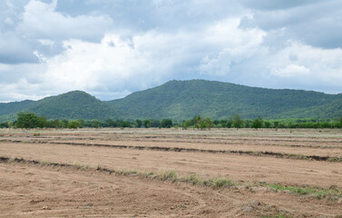 View of Vast empty land with trees and mountains with natural blue sky background at Thailand.