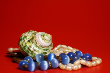 Seashell and jewelry. Objects on a red background.