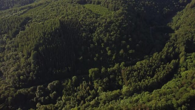 Aerial View of Frahan Forest, Rochehaut, Belgium