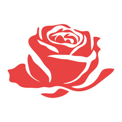 A red rose with detailed petals