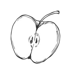 Doodle apple ink set sketch isolated on white background