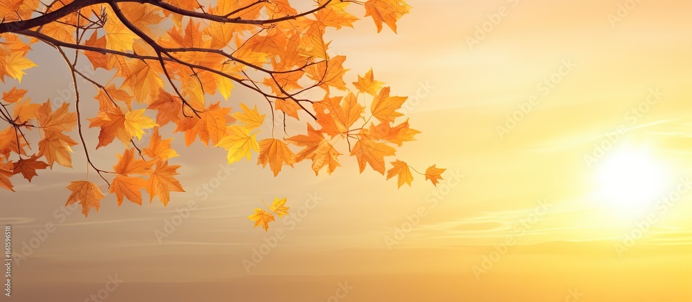 Leinwandbilder scenic autumn backdrop with a maple tree's yellow leaves against a sunset sky, ideal as a web banner