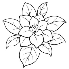 Plants with flower coloring pages. Flower outline