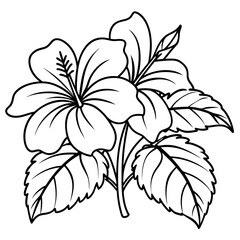 Plants with flower coloring pages. Flower outline