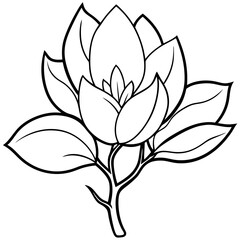 Plants with flower coloring pages. Flower outline