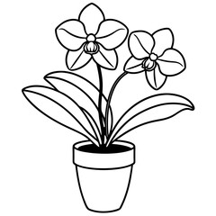 Plants with flower coloring pages. Flower outline
