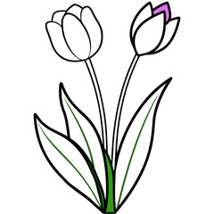 Plants with flower coloring pages. Flower outline