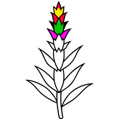 Plants with flower coloring pages. Flower outline