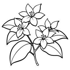 Plants with flower coloring pages. Flower outline