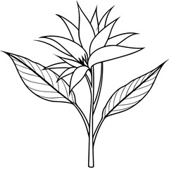 Plants with flower coloring pages. Flower outline