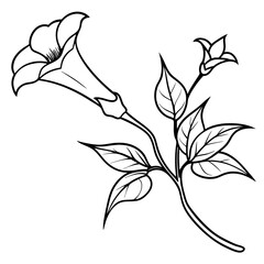 Plants with flower coloring pages. Flower outline