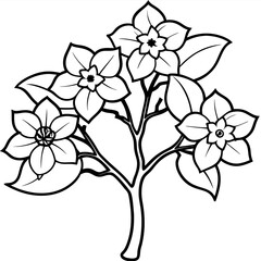 Plants with flower coloring pages. Flower outline
