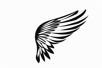 Fototapeta premium A wing of a bird is shown in black and white