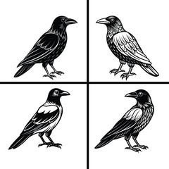 Black Crow Silhouette Art - Vector Illustration Bundle Set Design for Unique and Bold Graphics