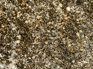 Close-up of gold coloured Biotite Schist from the Limpopo Mobile Belt of South Africa.