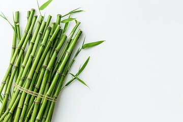 Fototapeta premium top view of fresh green bunch bamboo sticks on white background 