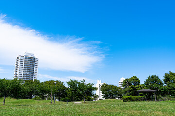 晴天日のマンションと広い芝生公園