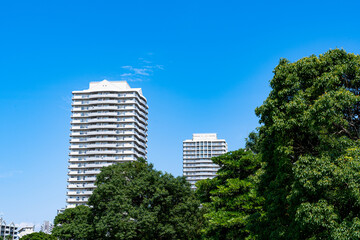 Fototapeta premium 高層マンションと緑地公園 