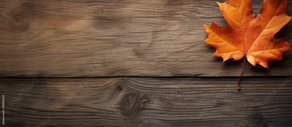 Aufkleber Fallen leaf on a rustic wooden surface with a blank area for a picture (copy space image).
