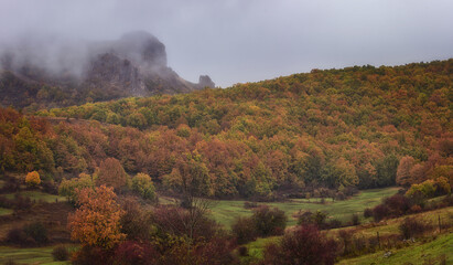 horizontal of a forest in mid-autumn with a rock mountain covered in fog in the background in the Palentina Mountain