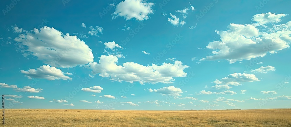 Poster capturing a serene landscape of a clear blue sky adorned with fluffy white clouds above a field of g