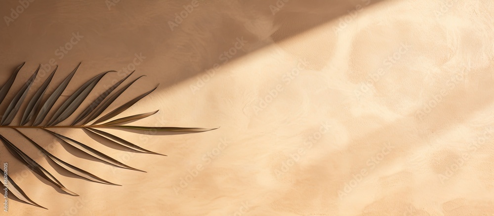 Leinwandbilder Top-down view of a palm leaf shadow banner on sandy surface with space for an image. with copy space image. Place for adding text or design
