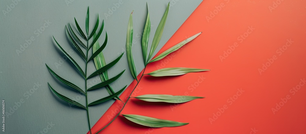 Poster flat lay view of a tropical plant leaf on a coral and grey paper background, creating a minimalistic