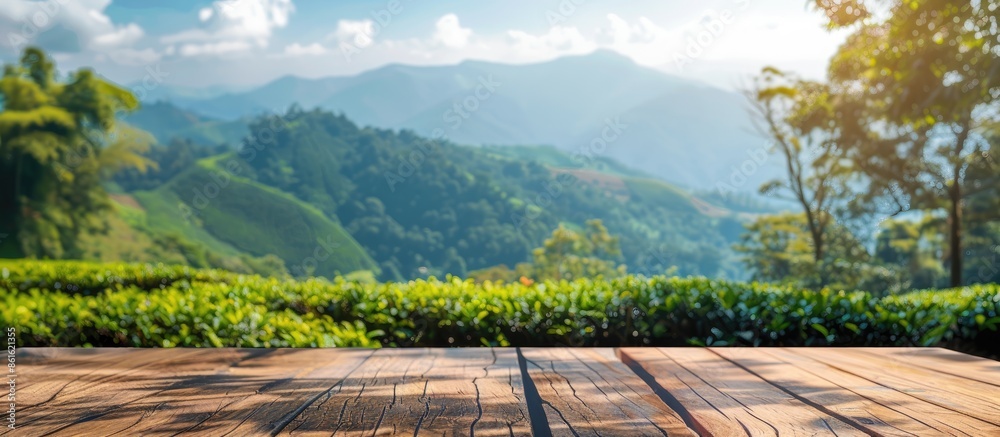 Poster Wooden table overlooking mountains or desk surrounded by tea plantation scenery with blurred background, ideal for text insertion in copy space image.