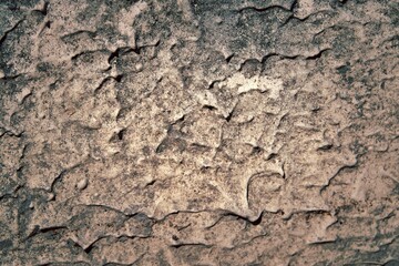 A wall with a rough texture and a few cracks