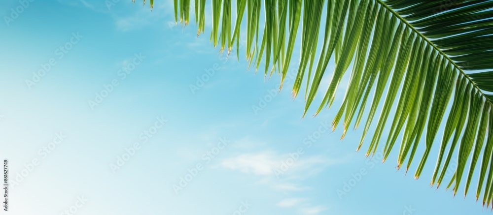 Aufkleber tropical beach vacation concept with a scenic overhead view of a coconut leaf against a blue sky, id