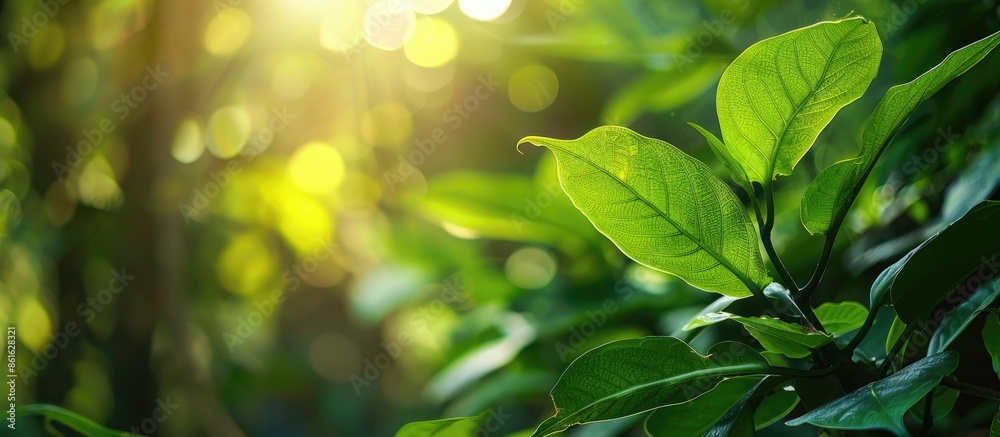 Poster detailed shot of a lush green leaf in a garden setting with blurred foliage in the backdrop, offerin