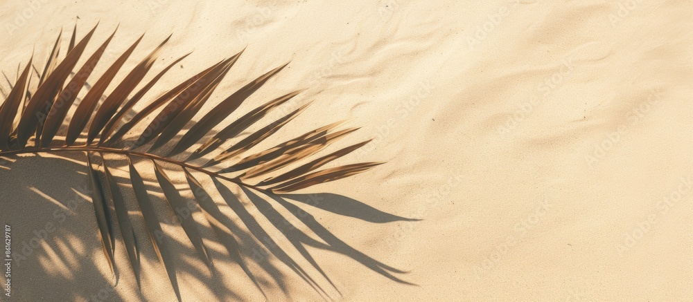 Leinwandbilder Top-down view of a palm leaf shadow banner on sandy surface with space for an image. with copy space image. Place for adding text or design