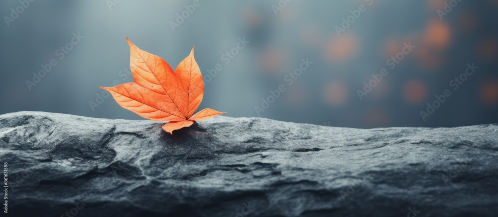 Poster an autumn-themed snapshot featuring a single orange leaf resting on a serene grey stone, embodying t