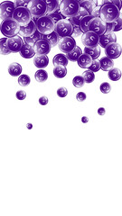 Zinc round capsules scattered randomly.