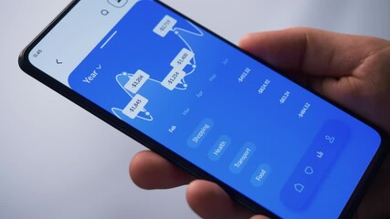 Monitoring expenses using digital banking app. Budget and expense tracking application for mobile phone. Fictional Interface.