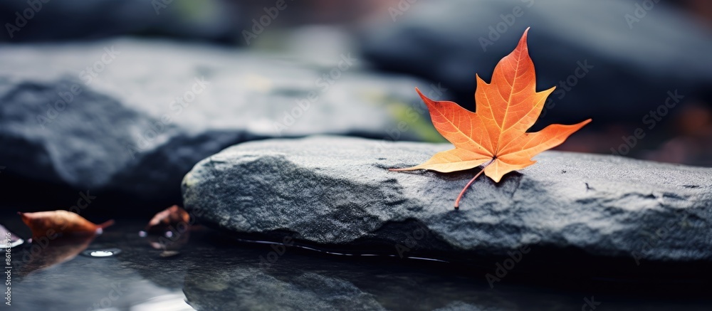 Poster An autumn-themed snapshot featuring a single orange leaf resting on a serene grey stone, embodying the beauty of nature with a fall-inspired backdrop and copy space image for added visual appeal.
