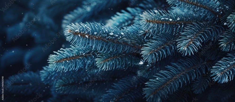 Aufkleber Blue spruce branches create a charming background on a light backdrop. This image features a shallow depth of field and a film-like effect with selective focus, ideal as a background for text with a