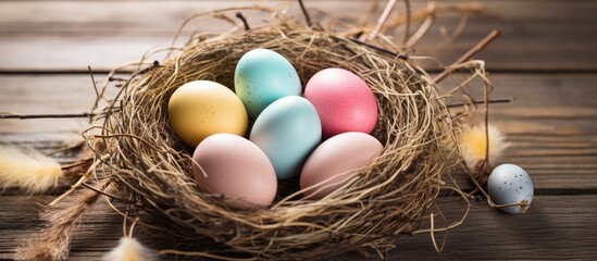 Fototapeta premium Easter greeting card featuring Easter eggs in a nest with copy space image available.